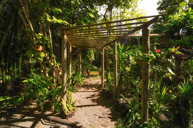 Casa GungaLilin entre o jardim