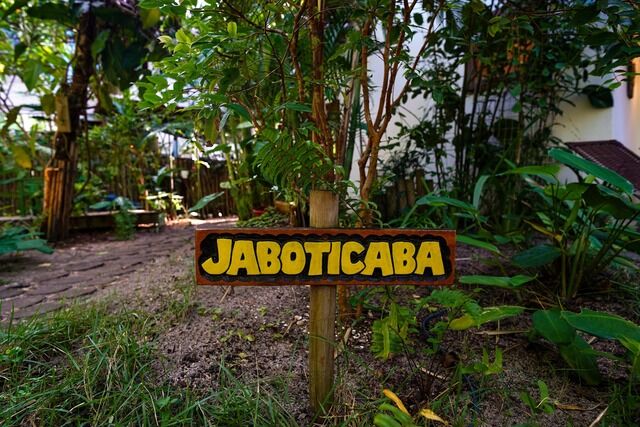 Vida no jardim da casa